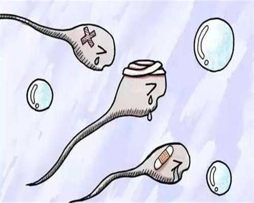 试管助孕成功率