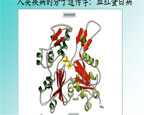 输卵管堵塞试管