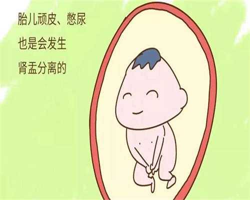试管拮抗剂方案
