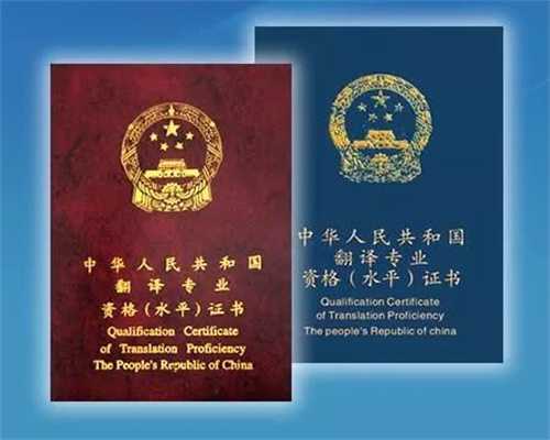 第69课：译者的策略画布：通过不同来提供价值